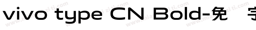 vivo type CN Bold字体转换